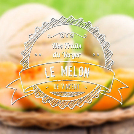 Melon - Arômes Naturels Vincent dans les Vapes | 10 ml