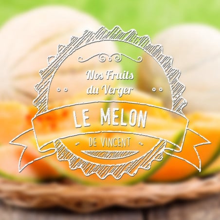 Melon - Natural Flavour Vincent dans les Vapes | 10 ml