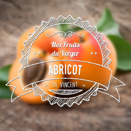 Abricot - Arômes Naturels Vincent dans les Vapes | 10ml