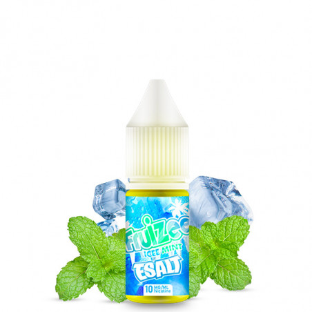 Icee Mint Fruizee - Sels de nicotine - Esalt by Eliquid France | 10ml