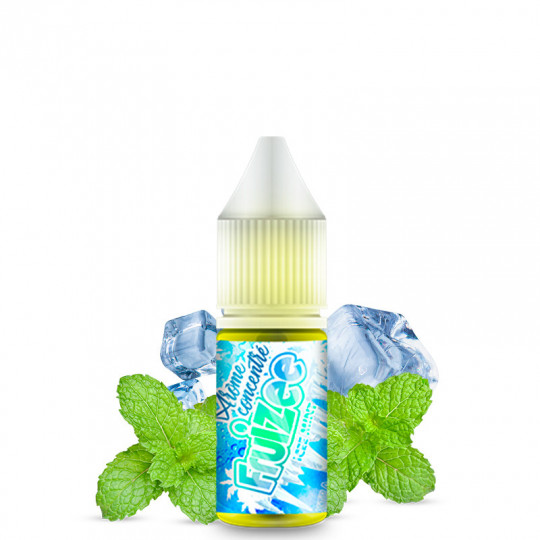 DIY Concentrate Icee Mint - Fruizee | 10ml DIY Concentrate Icee Mint - Fruizee | 10ml