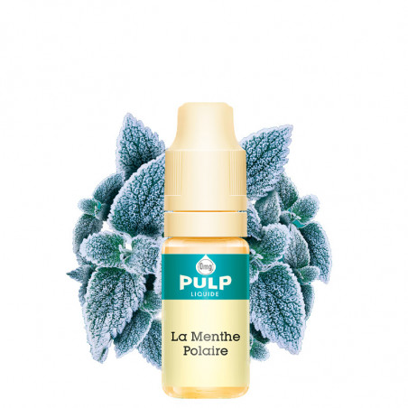 Polar Mint - Pulp | 10ml