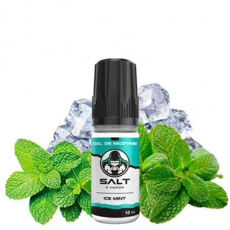 Ice Mint - Sels de nicotine - Salt E-Vapor | 10ml