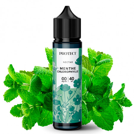Minze Chlorophyll - Nectar by Protect | 40ml "Shortfill 75 ml"