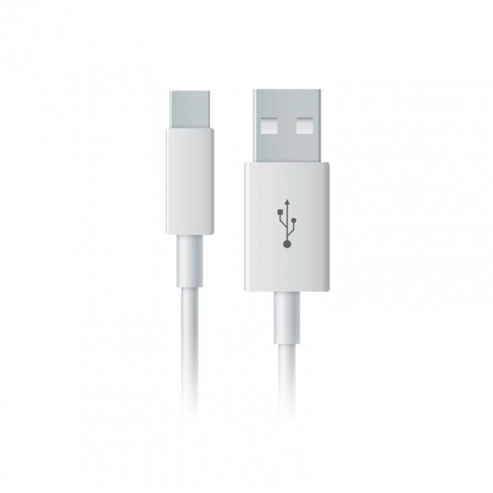USB to USB-C cable - Kiwi Vapor