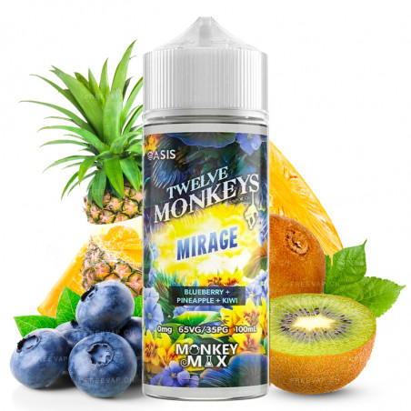 Mirage (Heidelbeere, Ananas & Kiwi) - Oasis by Twelve Monkeys | 100 ml "Shortfill 120 ml"