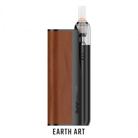 Earth Art