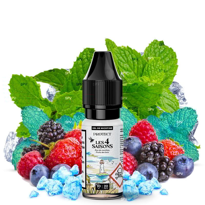 Waldfrucht Minze Duo (Nikotinsalze) - Sommer - Les 4 Saisons by Protect
