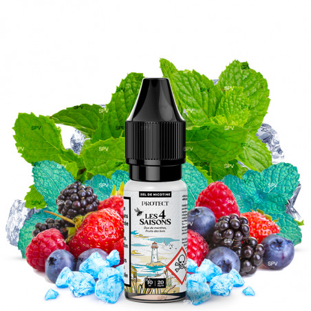 Waldfrucht Minze Duo (Nikotinsalze) - Sommer - Les 4 Saisons by Protect | 10 ml