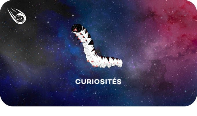 Concentrés DIY Curiosités by Fuu 10ml | Achat en ligne en Suisse