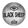 Black Sheep