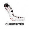 Curiosités by FUU (DIY)