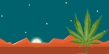 Was ist CBD? Einfach erklrt fr Dampfer